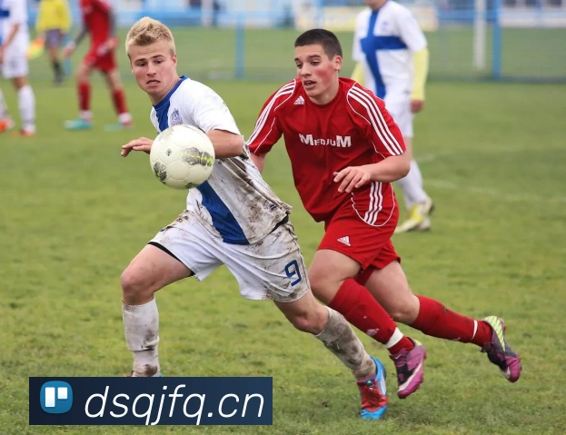 开云kaiyun发展历程